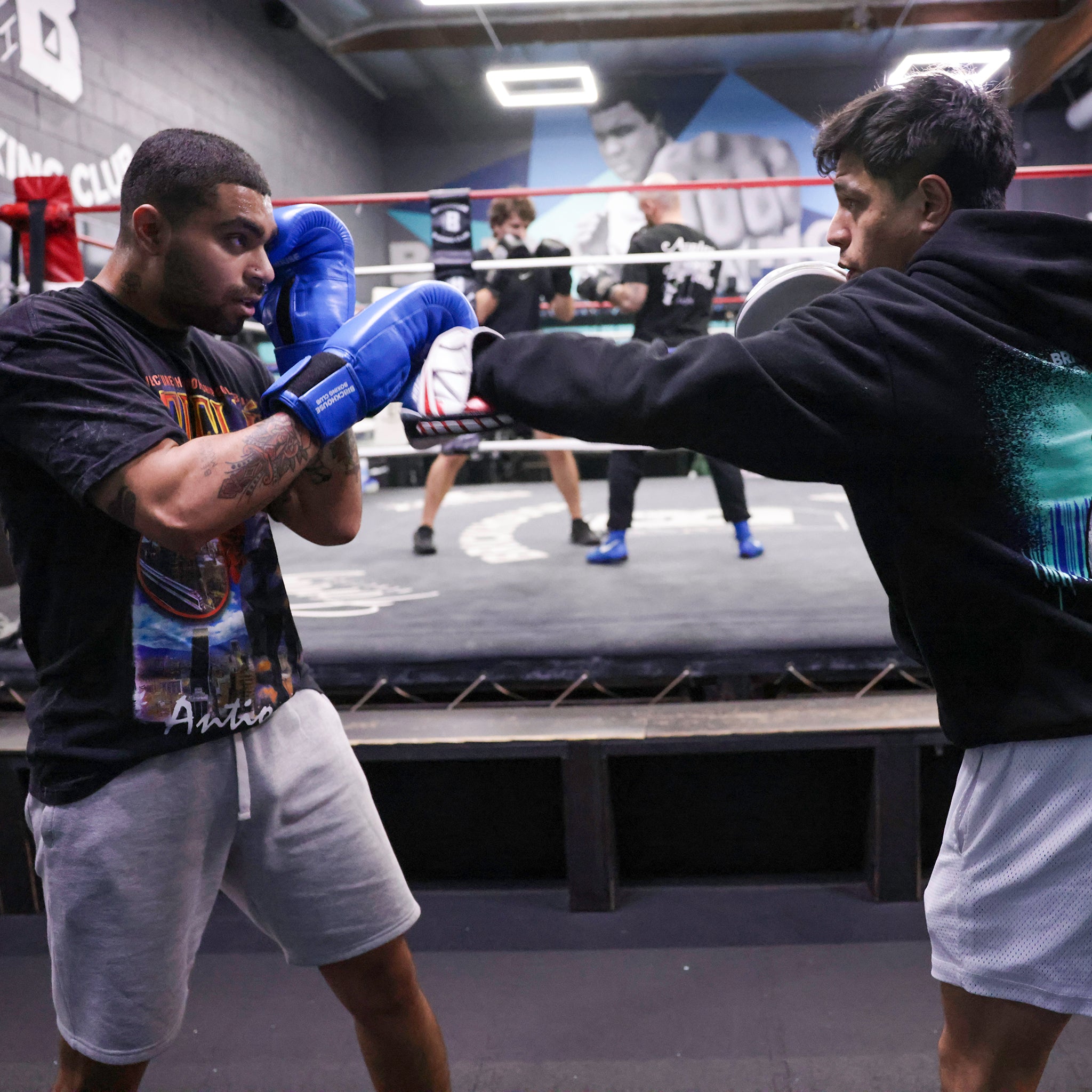 Tw1 Boxing Bridport Boxing Club